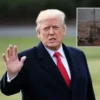 MİT Başkanı İbrahim Kalın’dan Gazze açıklaması trump gazzeden kimse zorla cikarilmayacak LgH2HNF5.webp