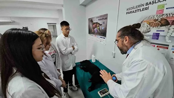 Türkiye’de bir birinci: Meslek yüksekokulunda veteriner sıhhat eğitimi simülatörlerle veriliyor 1 turkiyede bir birinci meslek yuksekokulunda veteriner sihhat egitimi simulatorlerle veriliyor 0 2B747qZB