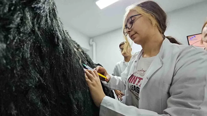 Türkiye’de bir birinci: Meslek yüksekokulunda veteriner sıhhat eğitimi simülatörlerle veriliyor 2 turkiyede bir birinci meslek yuksekokulunda veteriner sihhat egitimi simulatorlerle veriliyor 1