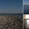 van golunde kuraklik alarmi suyun cekilmesi telas verici bir tabloya donustu DG82M9VR.webp