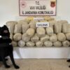 vanda 106 kilo uyusturucu ele gecirildi 1 gozalti H73CBF1Z.jpg