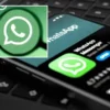 Tescilli meyvede hasat başladı: Avrupalılar kapış kapış alıyor 800 bin ton rekolte bekleniyor whatsappta buyuk guvenlik acigi birden fazla insan fark etmiyor banka hesaplari tehlikede 3Rxy4Ut3.webp