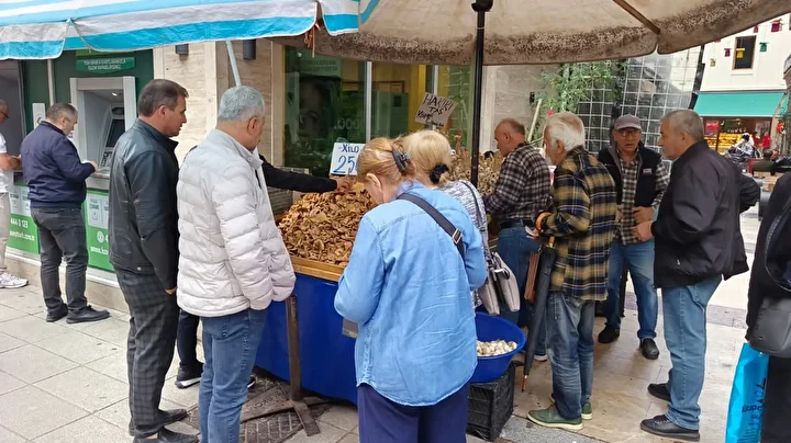 yagmurla gelen rahmet findik tirmiti mantarinin yararlari say say bitmiyor 4 P7bDsZNq