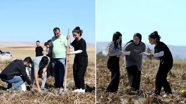 yuksek lisans ogrencisi patates tezi bir ciftcinin tahsis ettigi tarlada hazirliyorlar JMZDRv7h.webp