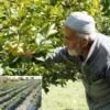 Gelin dizisinde Develioğlu ailesinde yer yerinden oynuyor! 30 yildir tek kurus almiyor hayir bahcesinin duzgunluk bekcisi tOC3UQdb.webp