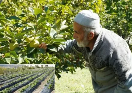 30 yildir tek kurus almiyor hayir bahcesinin duzgunluk bekcisi tOC3UQdb.webp