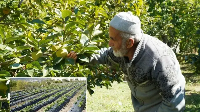 30 yildir tek kurus almiyor hayir bahcesinin duzgunluk bekcisi tOC3UQdb.webp