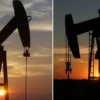 Beykoz’da cinayet kamerada! Eski kız arkadaşını bıçaklayarak katletti abdnin ticari ham petrol stoklari artis beklentisinin bilakis 1 milyon varil azaldi q2RwDzdD.webp