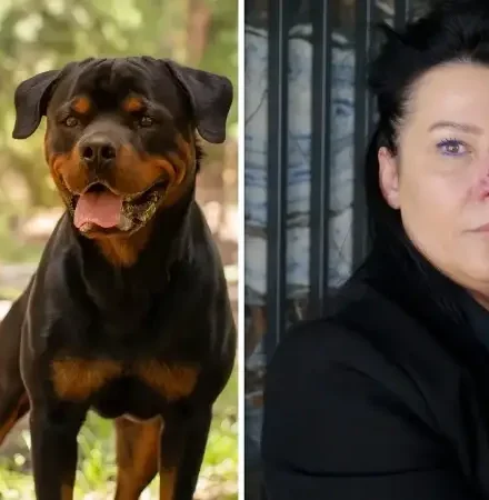 Arkadaşının köpeği tarafından burnu parçalanan bayan 8 ay pipetle beslendi: Acısı vahim bir acı ölmediğim için şükrediyorum arkadasinin kopegi tarafindan burnu parcalanan bayan 8 ay pipetle beslendi acisi vahim bir aci LwNPAW7n.webp
