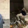 Tel Aviv’den son dakika açıklama: Kahire’yi yalanladı! “Netanyahu tepeye katılmayacak” avcilarda evsizler tahliye edilen binanin duvarlarini kirip yapiyi mesken edindi 3 4 defa yangin cikardilar 3DM6jgJT.webp