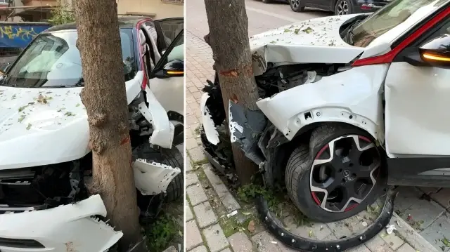 avcilarda soforunun fren yerine gaza bastigi araba agaca carpti UgqRNDSL.webp