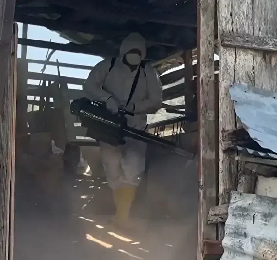 Bakanlık Karadeniz’in kabusu haline gelen kahverengi kokarcaya karşı harekete geçti 3 bakanlik karadenizin kabusu haline gelen kahverengi kokarcaya karsi harekete gecti 2 VQahhK2E