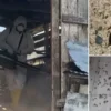 bakanlik karadenizin kabusu haline gelen kahverengi kokarcaya karsi harekete gecti VaJ3Tqcf.webp