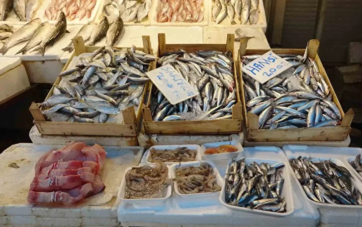 Balıkçılar dönemden şad: Bolluk yaşanıyor fiyatlar kasım sonuna kadar uygun 2 balikcilar donemden sad bolluk yasaniyor fiyatlar kasim sonuna kadar uygun 1