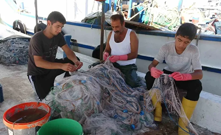 Balıkçılar dönemden şad: Bolluk yaşanıyor fiyatlar kasım sonuna kadar uygun 5 balikcilar donemden sad bolluk yasaniyor fiyatlar kasim sonuna kadar uygun 4 DUf6ph7T