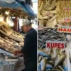 balikcilar donemden sad bolluk yasaniyor fiyatlar kasim sonuna kadar uygun XvhMLdtK.webp
