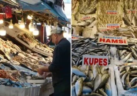 balikcilar donemden sad bolluk yasaniyor fiyatlar kasim sonuna kadar uygun XvhMLdtK.webp