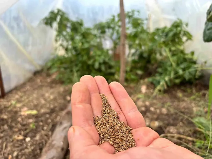 Balkonda hobi olarak başladığı iş ülkenin dört bir yanına yayıldı: Talepler patladı tam 150 bin kişi istedi 2 balkonda hobi olarak basladigi is ulkenin dort bir yanina yayildi talepler patladi tam 150 fR4fJQpQ