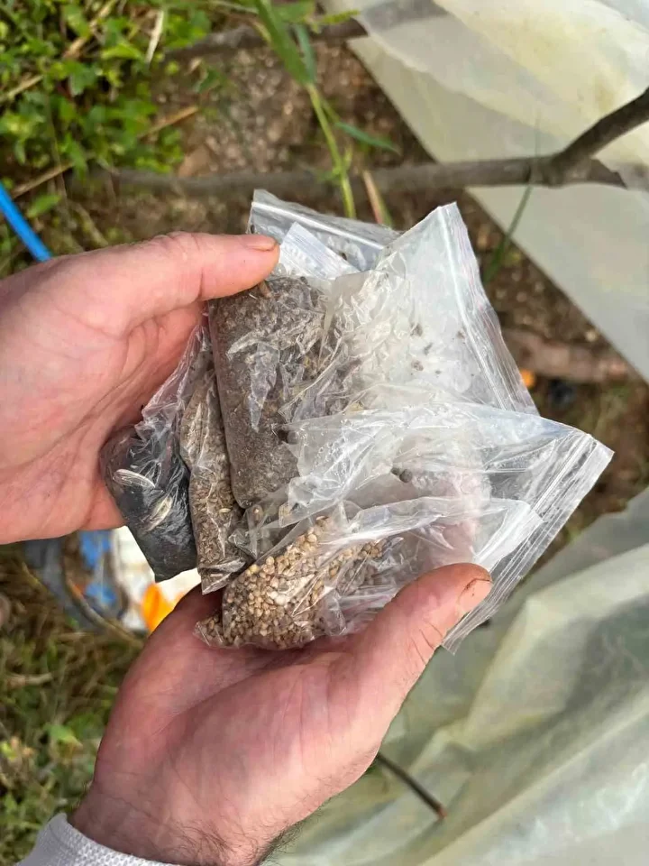 Balkonda hobi olarak başladığı iş ülkenin dört bir yanına yayıldı: Talepler patladı tam 150 bin kişi istedi 6 balkonda hobi olarak basladigi is ulkenin dort bir yanina yayildi talepler patladi tam 150 kSmQUAJ9