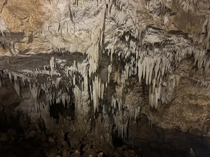 bati karadenizin bilinmeyen hazinesi duzce tabiati ve kultur rotalariyla tekrar kesfediliyor 2
