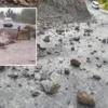 batmanda heyelan 25 koy ve 30 mezra yolu ulasima kapandi HXpjkdut.webp