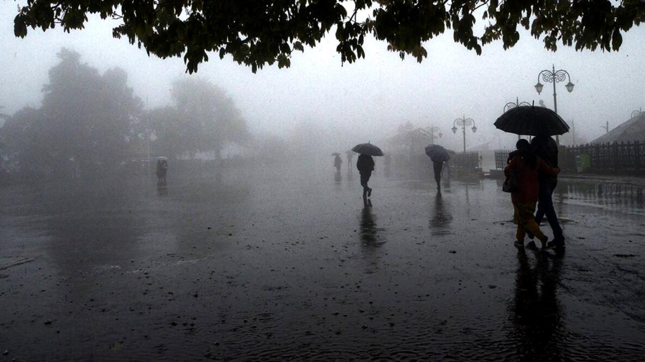 Beklenen haber erken geldi! Kent merkezleri beyaza bürünecek! Meteoroloji harita paylaştı 7 beklenen haber erken geldi kent merkezleri beyaza burunecek meteoroloji harita paylasti 6 IYpRf8pb