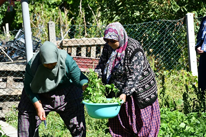 bilecikli bayan kaynatip ictigi nane suyundan ilham alarak tesebbuscu oldu istanbul bursa eskisehir ve F8fcqflZ
