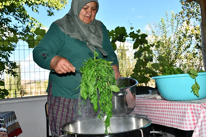 bilecikli bayan kaynatip ictigi nane suyundan ilham alarak tesebbuscu oldu istanbul bursa eskisehir ve fJwjO7M3