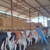 bir vilayette 12 mahalle karantinaya alindi b7LHTaRB.jpg