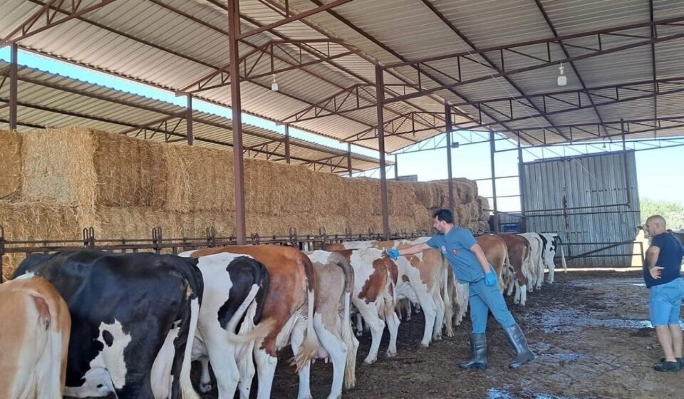 bir vilayette 12 mahalle karantinaya alindi b7LHTaRB.jpg
