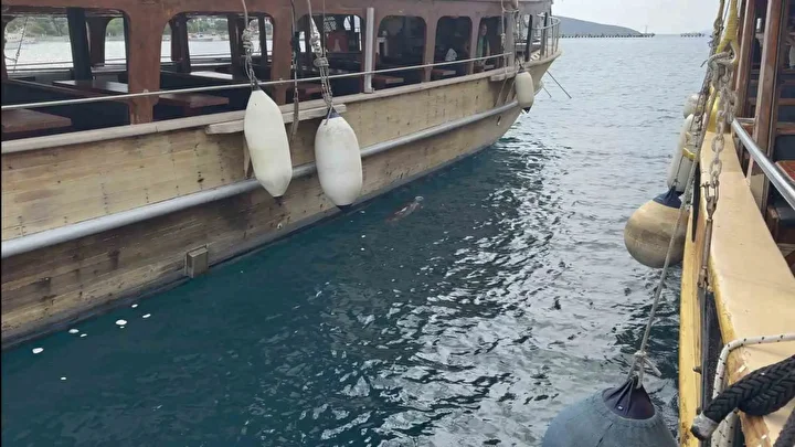 bodrumda iskelede fok surprizi 0 BeZSzbjW