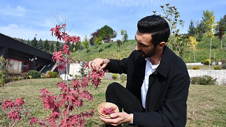 botanik bahcesindeki bitkileri el uretimi kagitlarla gelecege tasiyor 3 37FcLAkT