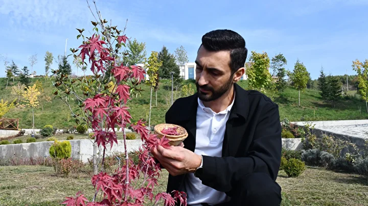 botanik bahcesindeki bitkileri el uretimi kagitlarla gelecege tasiyor 5 CGf5yfNH
