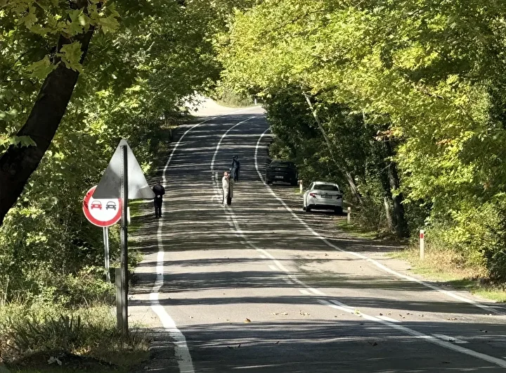 Bu yol görenleri hayran bırakıyor: İrlanda ve Japonya'daki ağaç tünellerini aratmıyor 1 bu yol gorenleri hayran birakiyor irlanda ve japonyadaki agac tunellerini aratmiyor 0 NHNmDalS