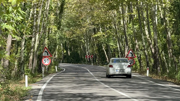 Bu yol görenleri hayran bırakıyor: İrlanda ve Japonya'daki ağaç tünellerini aratmıyor 3 bu yol gorenleri hayran birakiyor irlanda ve japonyadaki agac tunellerini aratmiyor 2 CWARVwVX