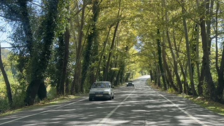 Bu yol görenleri hayran bırakıyor: İrlanda ve Japonya'daki ağaç tünellerini aratmıyor 5 bu yol gorenleri hayran birakiyor irlanda ve japonyadaki agac tunellerini aratmiyor 4 rGElrJud