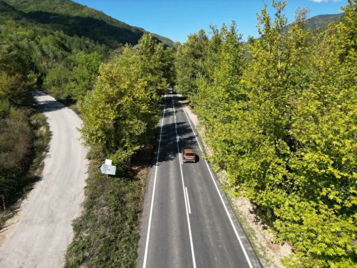 Bu yol görenleri hayran bırakıyor: İrlanda ve Japonya'daki ağaç tünellerini aratmıyor 7 bu yol gorenleri hayran birakiyor irlanda ve japonyadaki agac tunellerini aratmiyor 6 FzTNX8h4