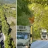 MEB duyurdu! Pazartesi günü tüm okullarda uygulanacak bu yol gorenleri hayran birakiyor irlanda ve japonyadaki agac tunellerini aratmiyor QgBpGPgh.webp