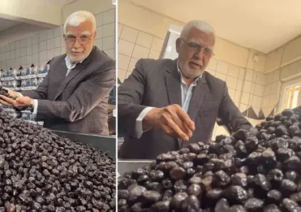 bursanin daglarindan isvicrenin sofralarina lezzeti dunyanin lisaninda almanyaya evet desek ic piyasaya eser kalmaz tnhBkDMS.webp