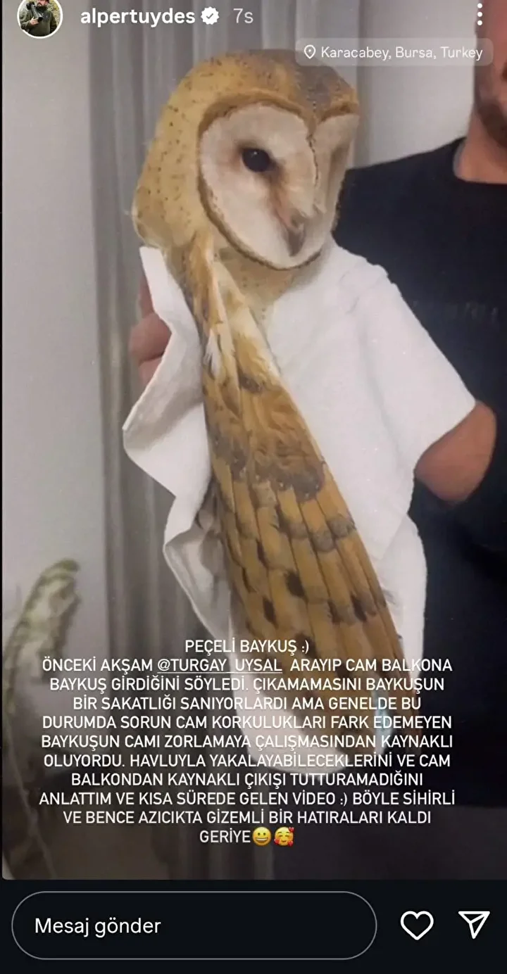 cok nadir goruluyor peceli baykus bursada meskenin balkonuna girdi 2