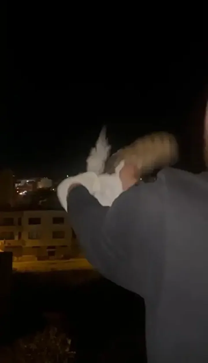 cok nadir goruluyor peceli baykus bursada meskenin balkonuna girdi 5 eDdBJ7UI