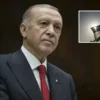 Okul Öncesi ve İlkokul Ebeveynleri İçin “İlk Öğretmenim Ailem” Güncellendi cumhurbaskani erdogan gazze tepesi icin yarin misira gidiyor gaS7LinN.webp
