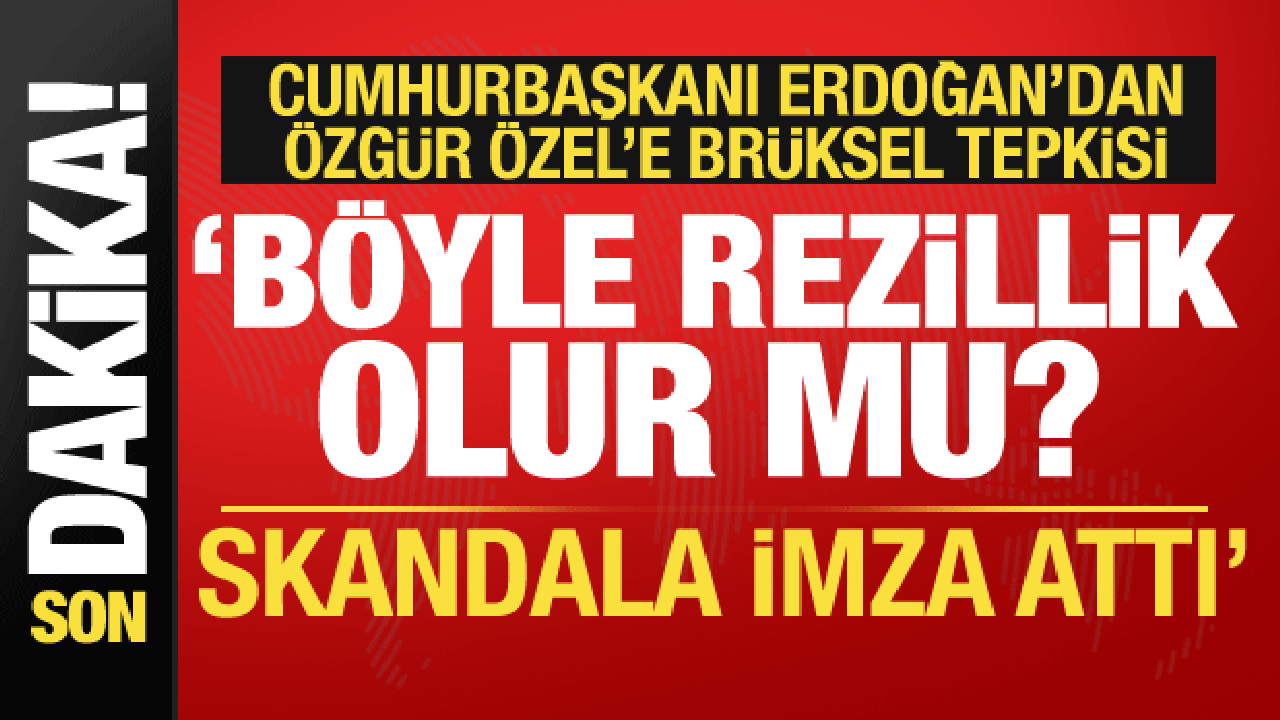 cumhurbaskani erdogandan ozgur ozele bruksel reaksiyonu skandala imza atti x5hMHpkT.gif