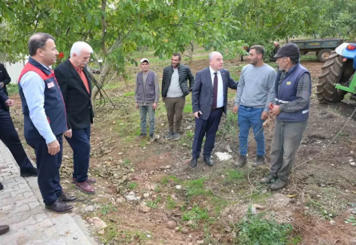 Denizli’de dönemin birinci ceviz hasadı Tavas’ta yapıldı 5 denizlide donemin birinci ceviz hasadi tavasta yapildi 4 I6JTBrj4