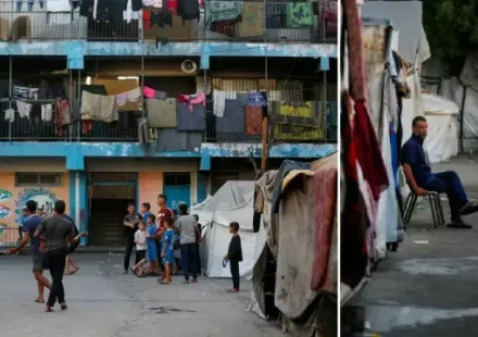 Deyr Belah’taki UNRWA okullarına sığınan Filistinliler: Sıkıntı koşullar altında ömürlerini sürdürüyorlar deyr belahtaki unrwa okullarina siginan filistinliler sikinti kosullar altinda omurlerini surduruyorlar Af4ZYJXm.webp