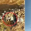 Tehlike büyük! İsrail namluyu Kıbrıs’a çevirdi dicle elektrik kacak elektrikle ugrasini araliksiz surduruyor L1eX67zH.webp