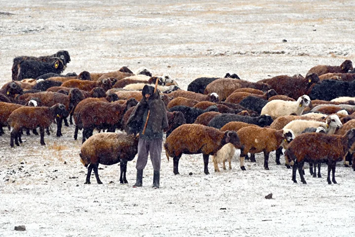 Doğu Anadolu beyaza büründü: Birtakım kentlerde merkeze birtakım kentlerde ise yüksek kesitlere kar yağdı 3 dogu anadolu beyaza burundu birtakim kentlerde merkeze birtakim kentlerde ise yuksek kesitlere kar yagdi pYUgJVCQ