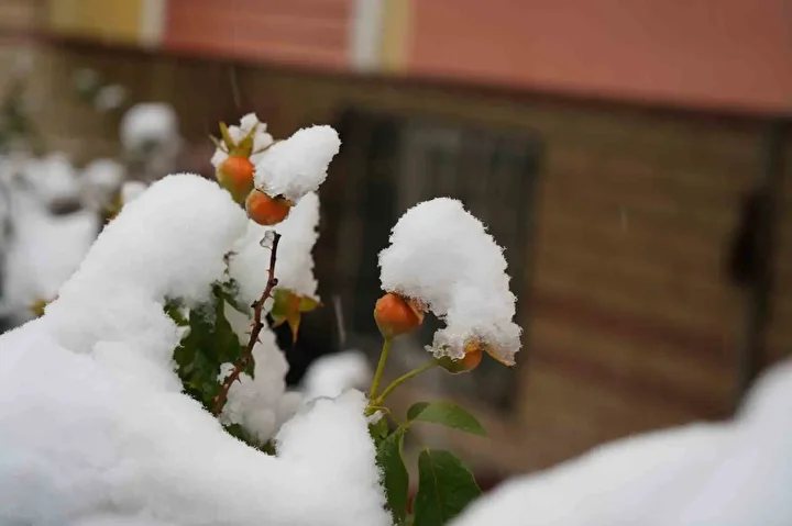 Erzurum güne kar ile uyandı 6 erzurum gune kar ile uyandi 5 Iwb8kc2p