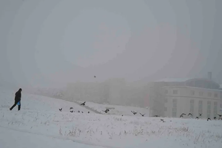 Erzurum güne kar ile uyandı 9 erzurum gune kar ile uyandi 8 24cKvWkH