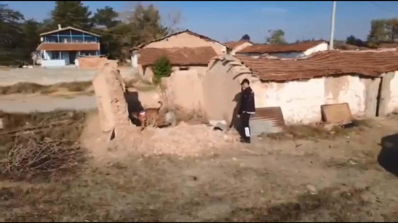 Eskişehir’de sır cinayet 14 yıl sonra çözüldü 3 eskisehirde sir cinayet 14 yil sonra cozuldu 2 mjHC3rPk
